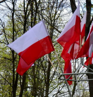 Flagi powiewające na tle drzew.