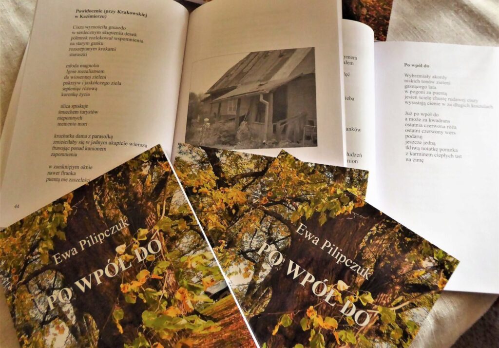 Pięć egzemplarzy tomiku poezji autorstwa Ewy Pilipczuk zatytułowanego "Po wpół do".
