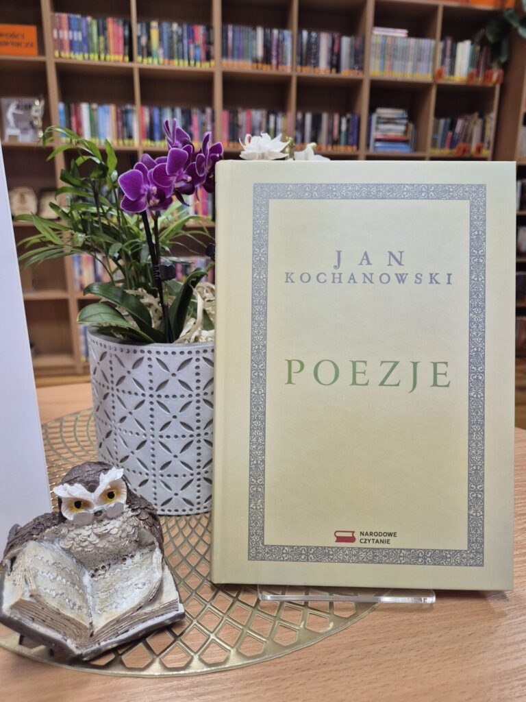 książka, figurka sowy i kwiaty w doniczce na tle regału bibliotecznego